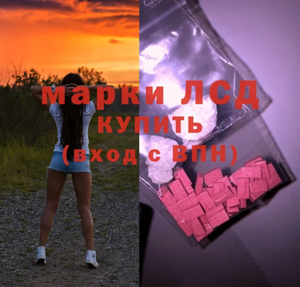 гидра Осинники