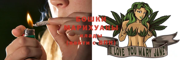 гидра Осинники