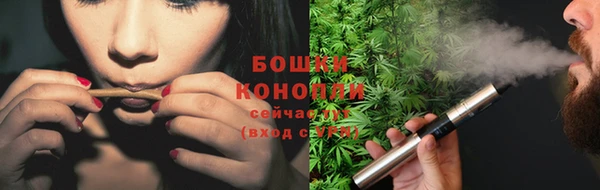 PSILOCYBIN Осташков