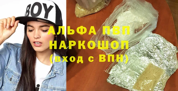 PSILOCYBIN Осташков