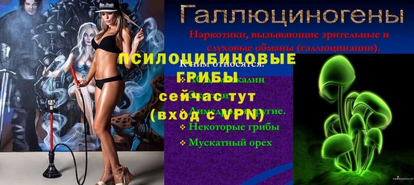 PSILOCYBIN Осташков