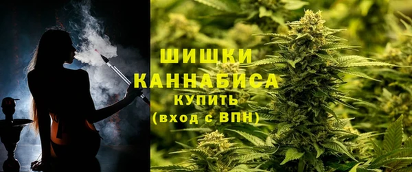 PSILOCYBIN Осташков