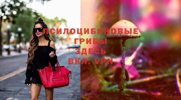 гидра Осинники