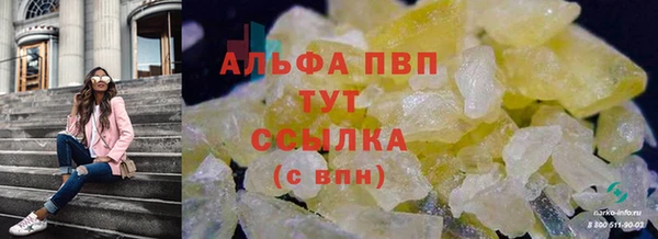 PSILOCYBIN Осташков