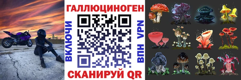 Псилоцибиновые грибы Psilocybe  Красавино 