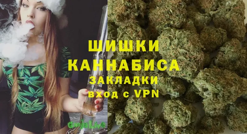 цены   Красавино  Бошки марихуана White Widow 